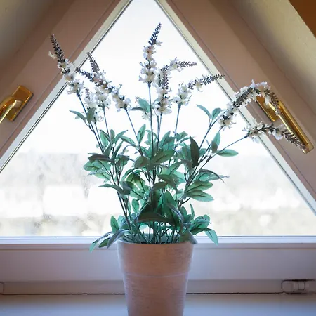 Nyaraló Enen Neest App 3 *